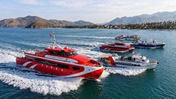Vé tàu đi Lý Sơn hôm nay: Lịch tàu, xem chỗ trống và đặt vé    